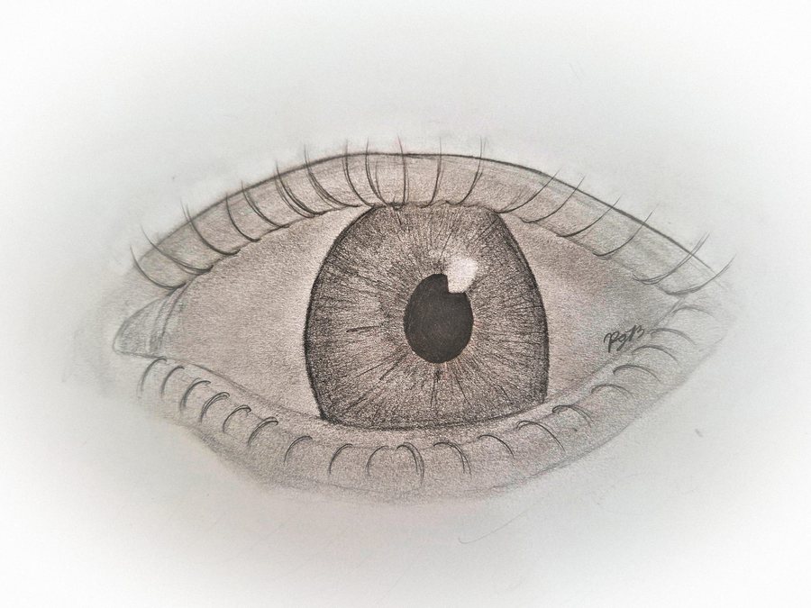 Pencil drawing of a detailed human eye and iris