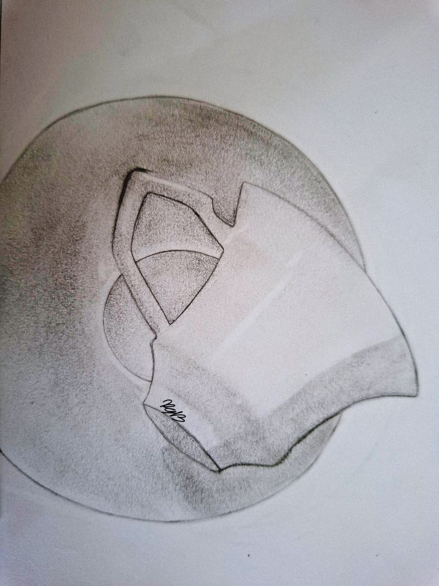 Pencil still life drawing of a cracked shell form with soft shading