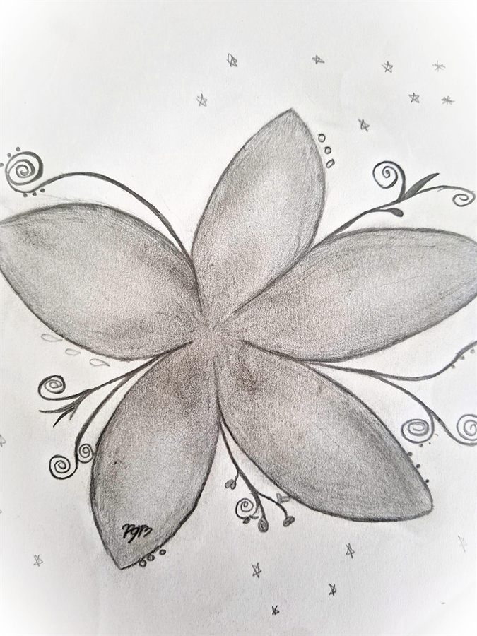Pencil drawing of a flower with decorative vines and small stars